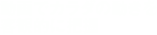 動画でカラダの動きを客観的に把握