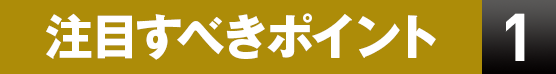 注目すべきポイント1